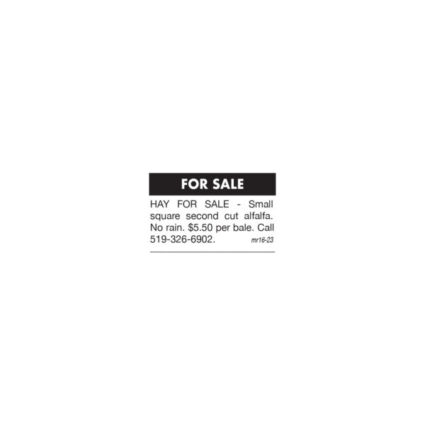 Classified ad (word) - Image 5