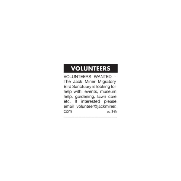 Classified ad (word) - Image 2