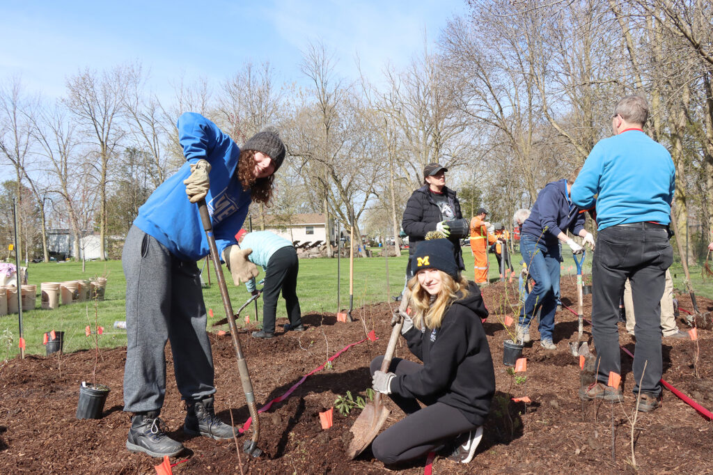 500 trees planted in three hours at Mersea Park - Southpoint Sun