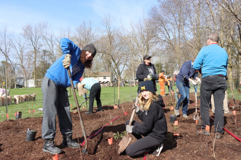 500 trees planted in three hours at Mersea Park Southpoint Sun