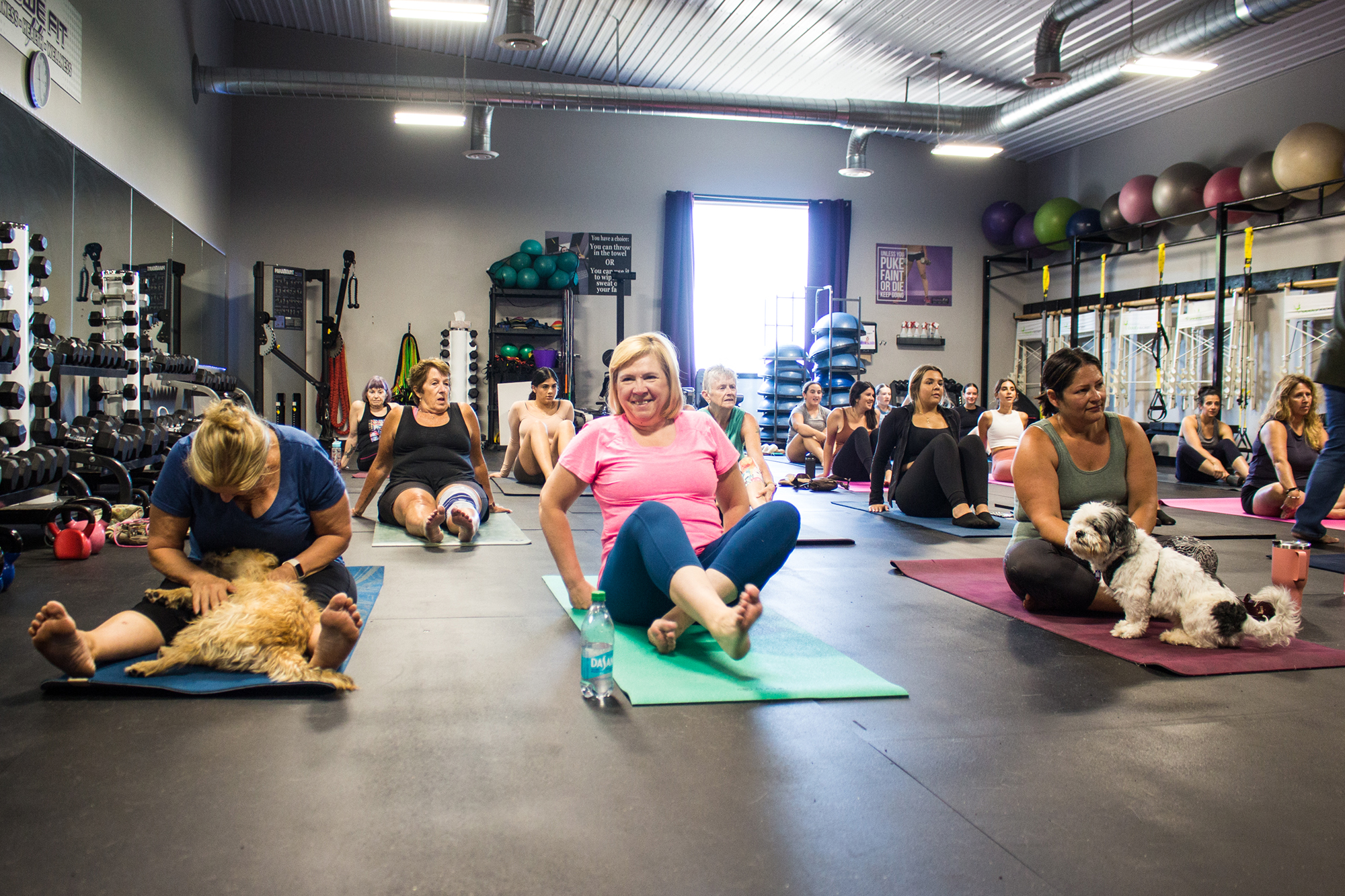 Example of Puppy Pilates