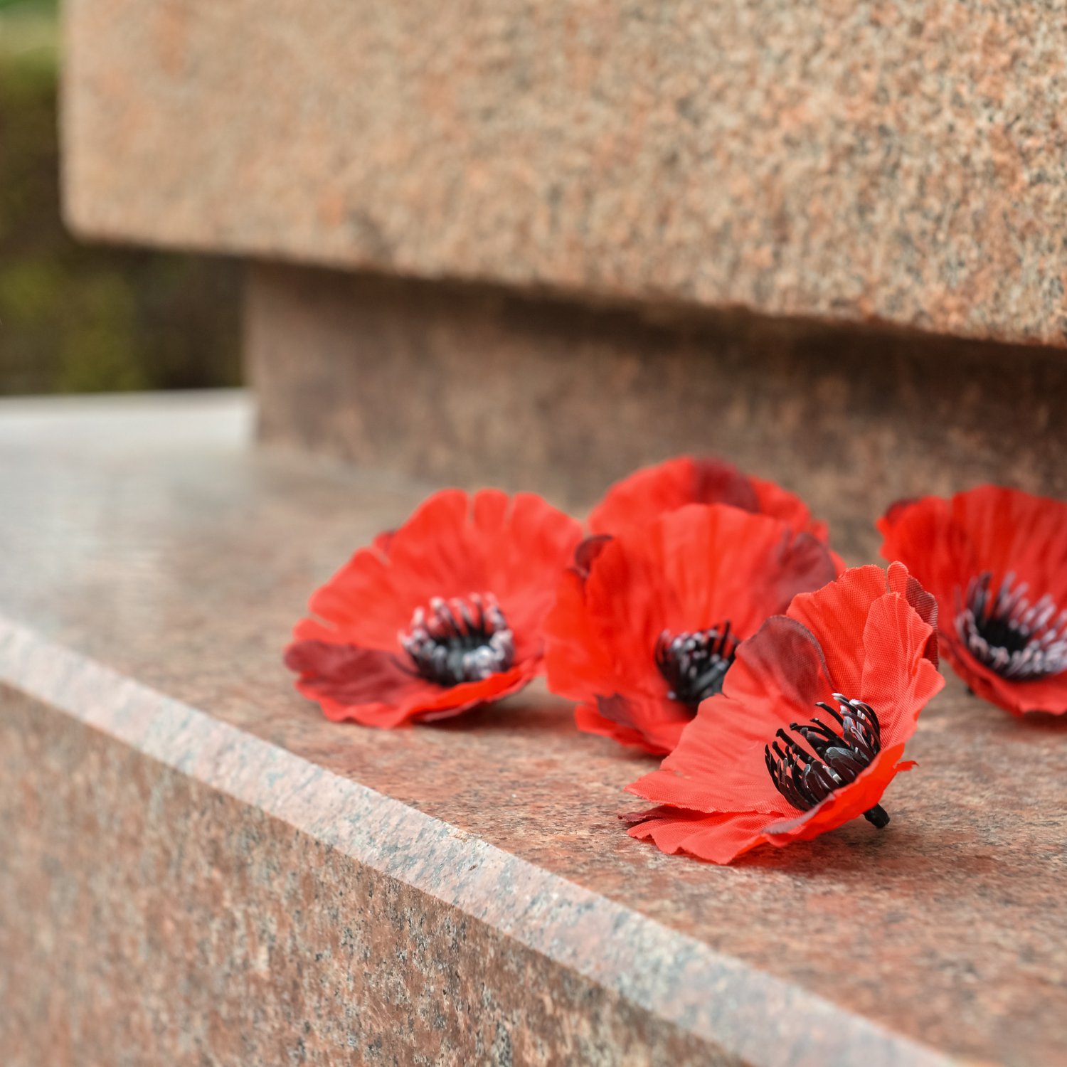 Poppies