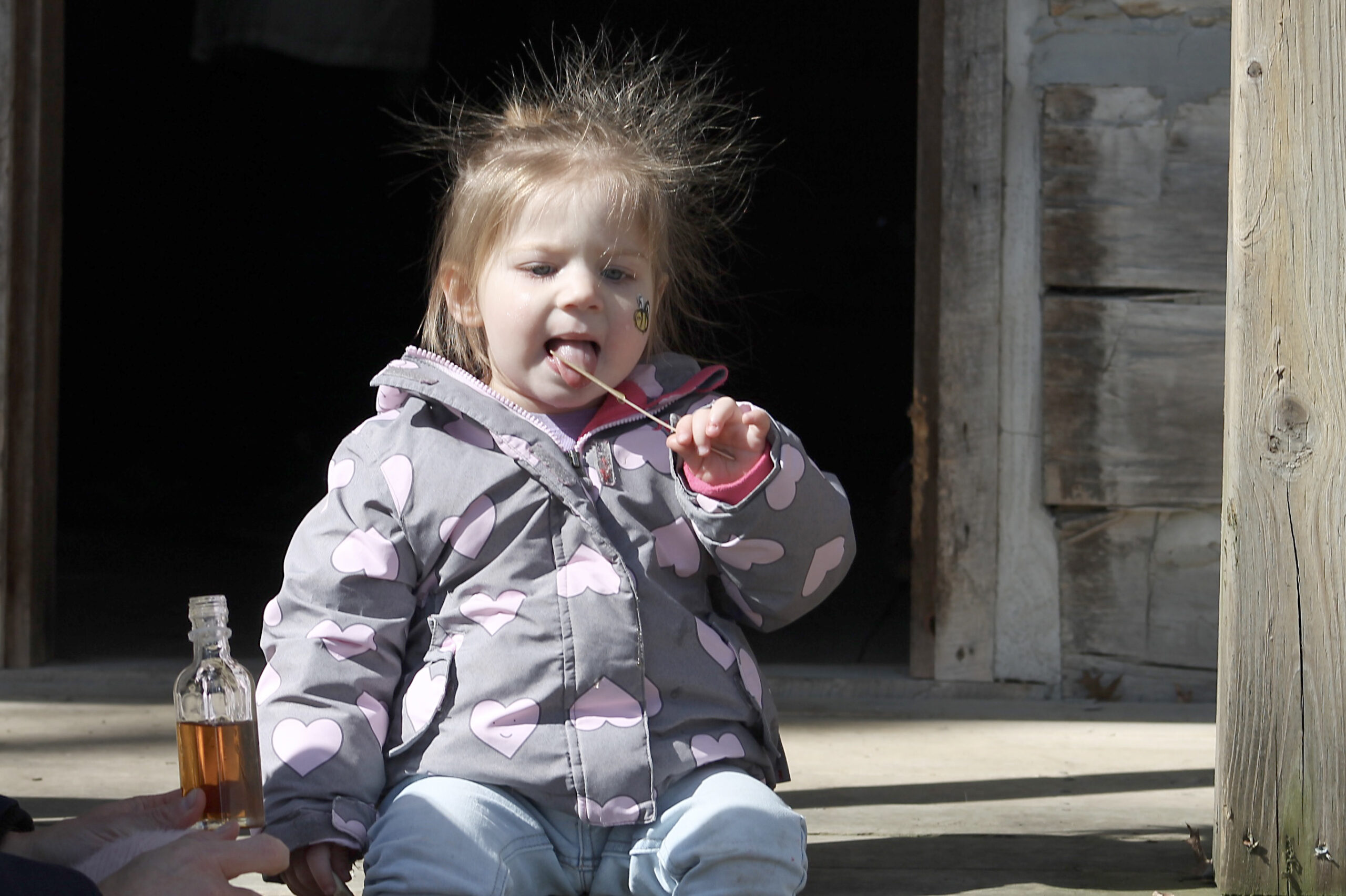 Not quite two years old yet, Mila Teliszewsky, right, could be found enjoying some sweet maple syrup on the steps of the Ross Cabin at this year’s All About Maple event.