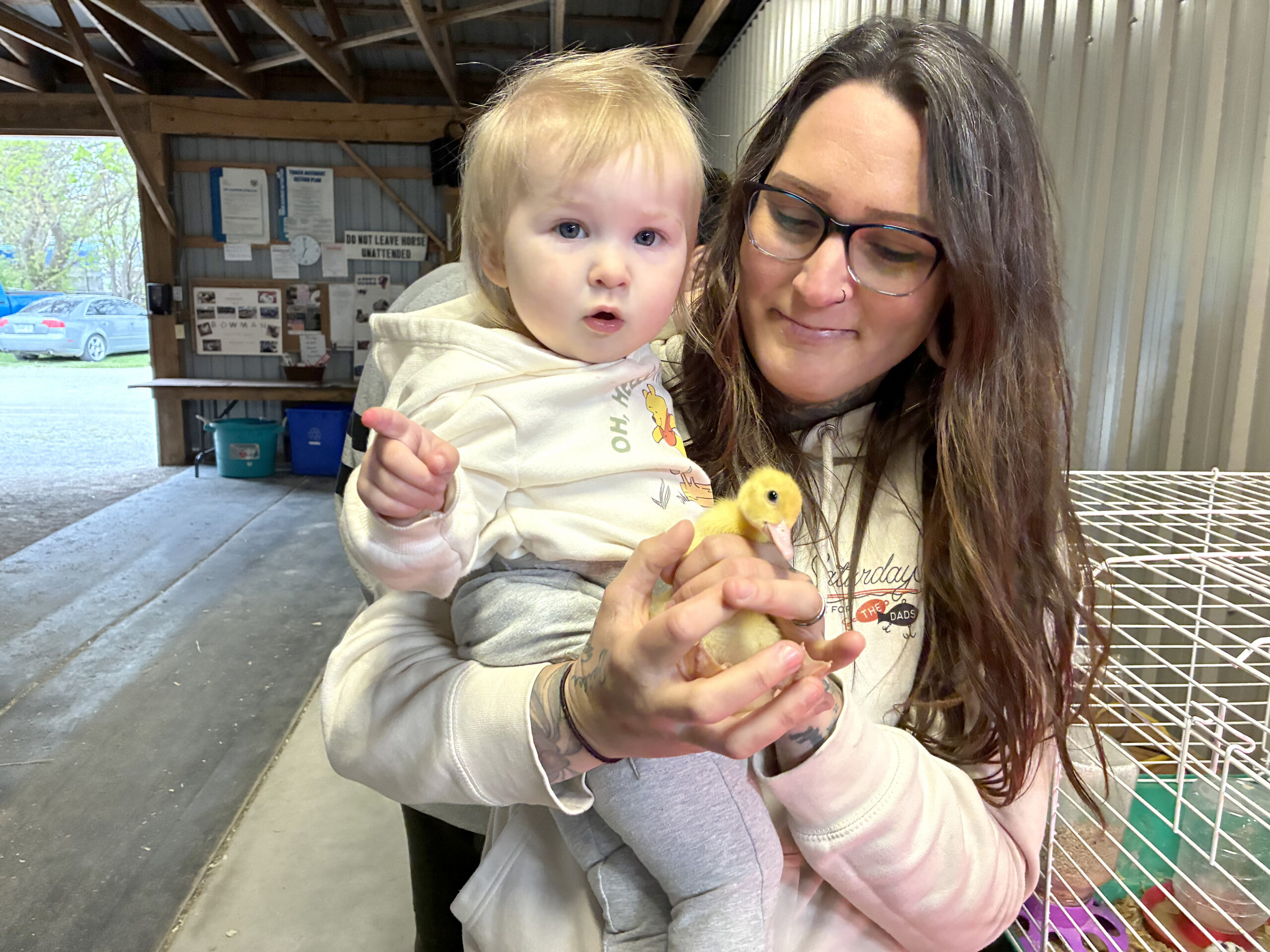 The pigeons, poultry and rabbits barn was a busy place on Friday afternoon at the Leamington fair. Pictured up close and personal in the barn with a Pekin duckling is 15-month-old Cove and her mom Crystal Griffiths. SUN photo by Paul Forman