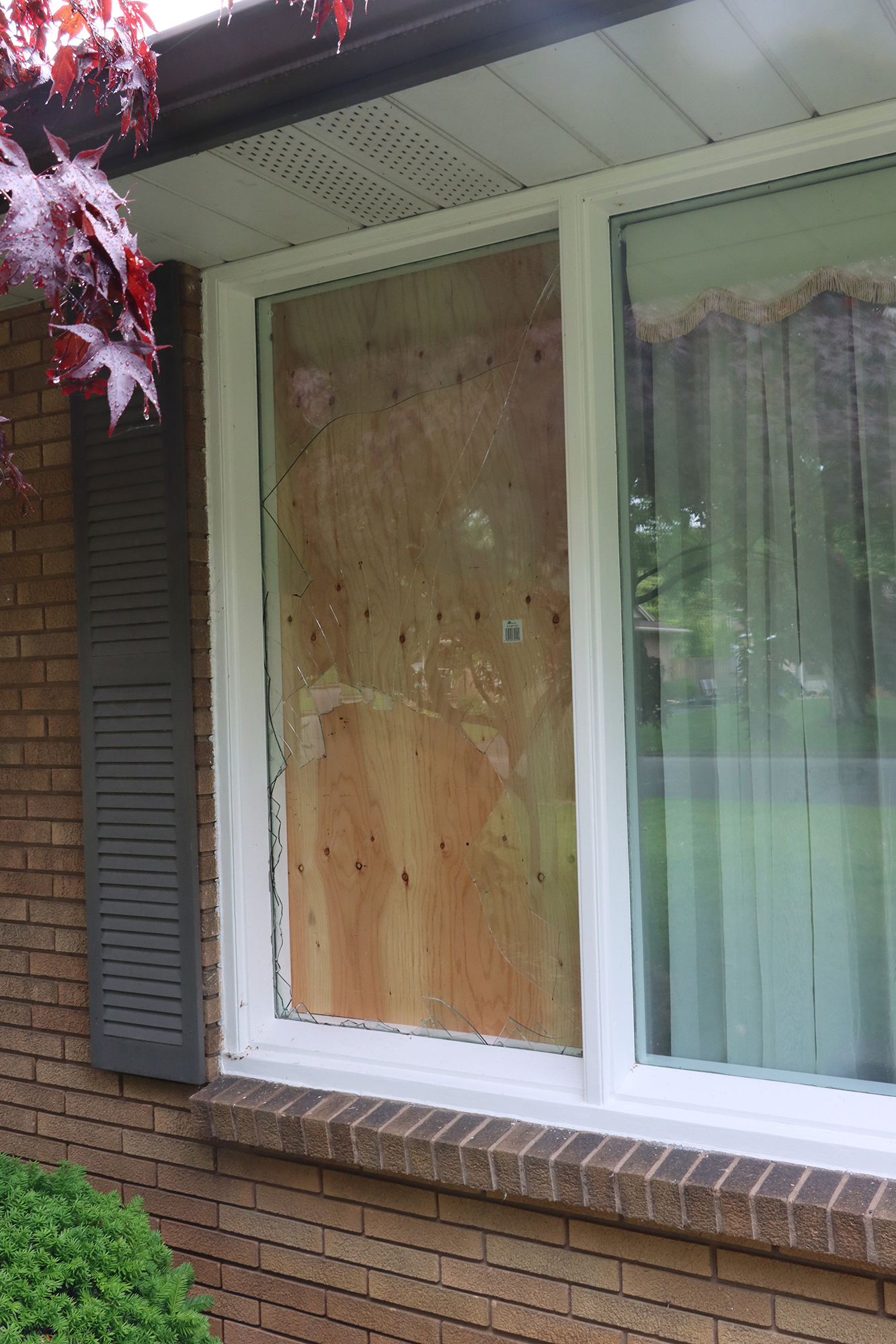 The broken picture window at Ray Jaarsma's Leamington home remains boarded and awaits repair after a deer crashed through it.