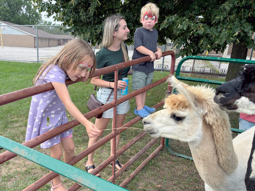 Isla Locknick feeds an alpaca from Sunny Britches Farm while her brother Liam watches at the Kingsville Block Party.