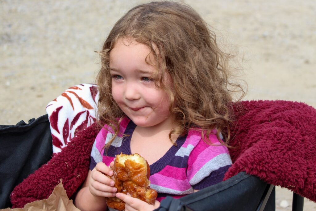 Two-and-a-half-year-old Wren Scott of Windsor enjoys eating an apple fritter while riding in her wagon.