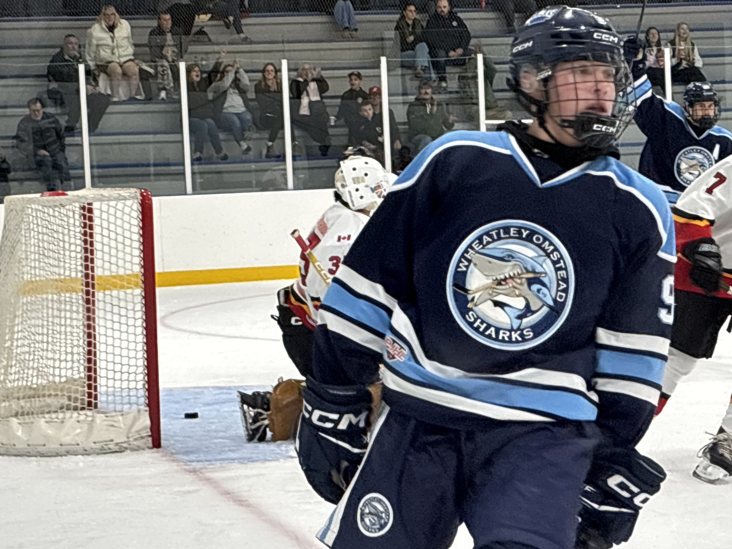 Sharks’ second-year centre Austin Fraser celebrates his fifth goal of the season late in the second period against Blenheim last week at home. Unfortunately, that was all the offence the Sharks could add to the scoresheet. Sue O’Donovan photo